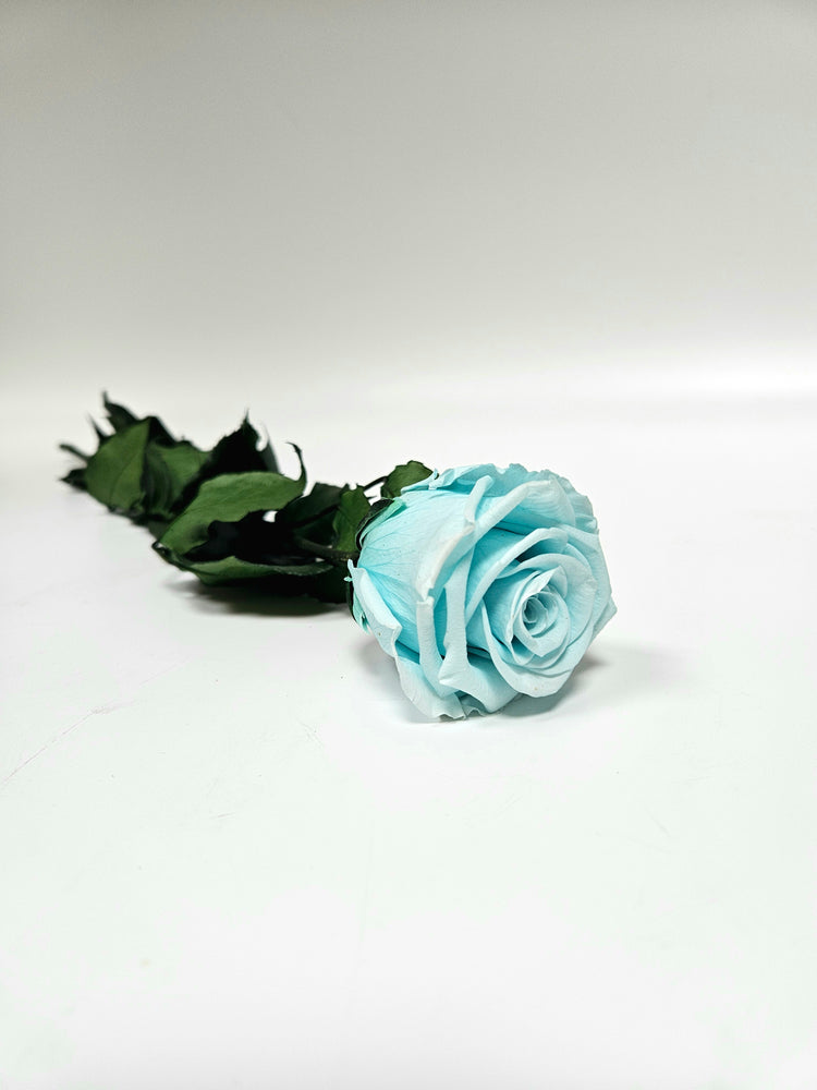 Tiffany's - Everlasting Rose