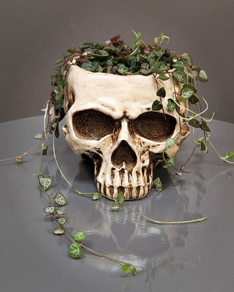 Till Death Do Us Plant