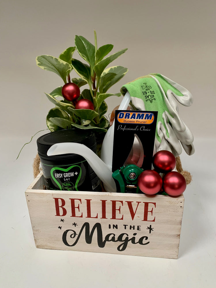 Plant Hobbyist Starter Kit