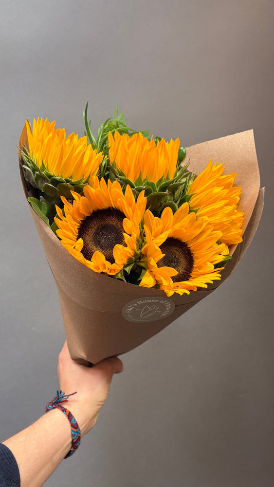 Current Feature - Sunflowers with Greens