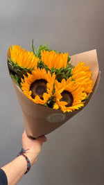 Current Feature - Sunflowers with Greens