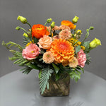 Apricot Kiss