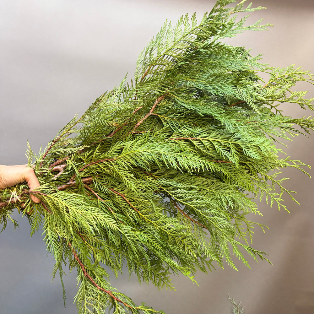 Cedar - Fresh Evergreen Bunches Saskatoon