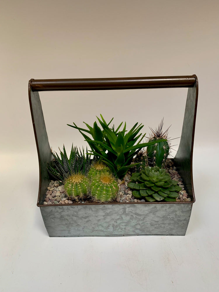 Galvanized Succulent Box