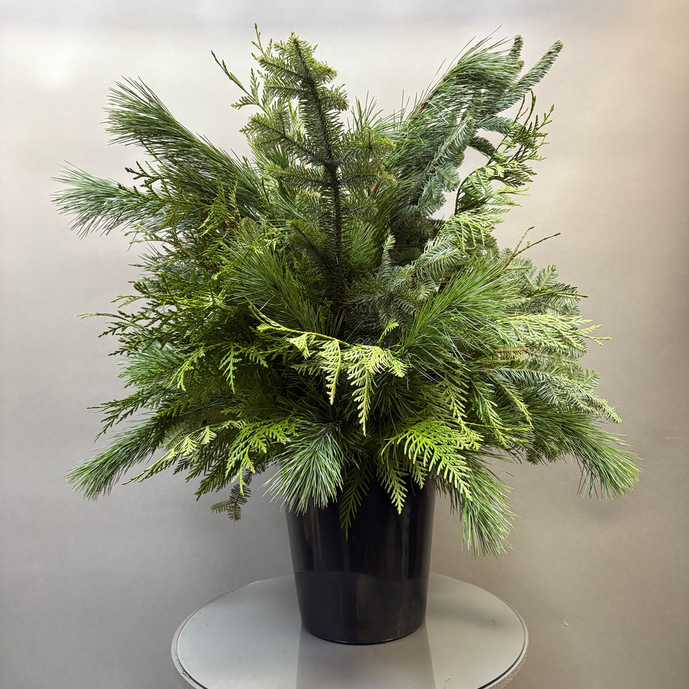 Base Planter - Outdoor Dressings