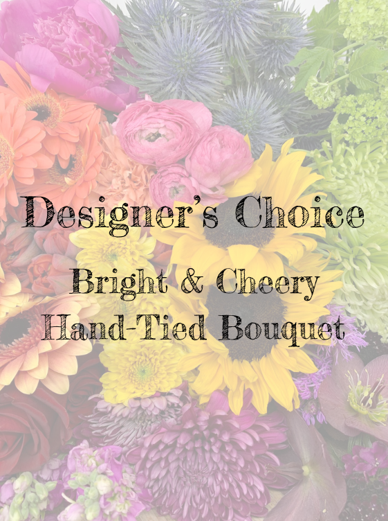 Designers Choice Bright & Cheery Hand Tie
