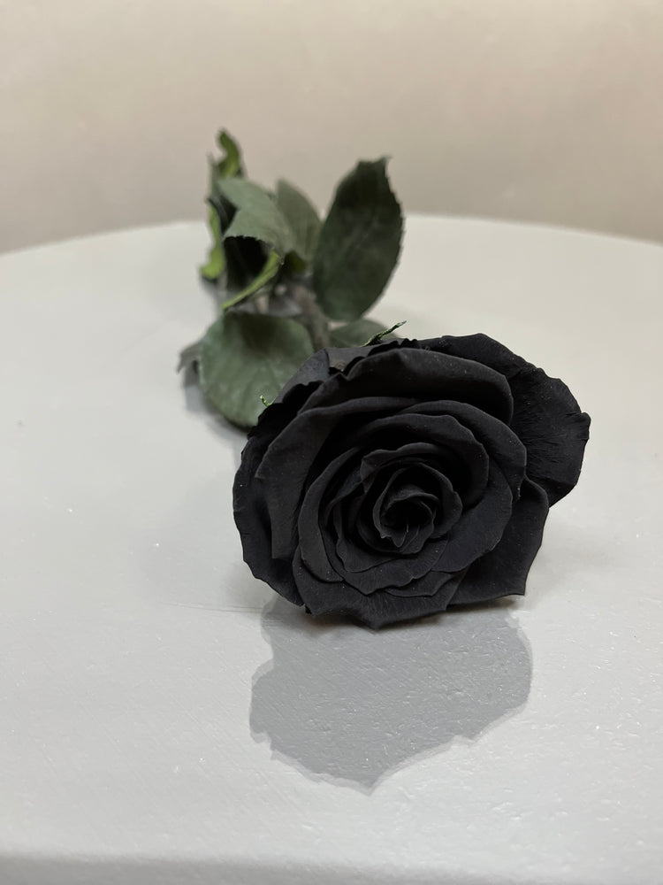 The Forever Rose