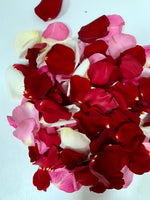 Bag of Rose Petals - Flowers Saskatoon